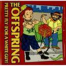 The Offspring : Pretty Fly (For A White Guy)